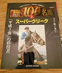 2026年最新】名馬 GALLOP 100の人気アイテム - メルカリ