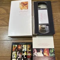 2026年最新】raphael 日本武道館の人気アイテム - メルカリ