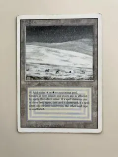 2026年最新】デュアルランド リバイズドの人気アイテム - メルカリ