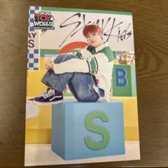 2026年最新】straykids サイン入りチェキの人気アイテム - メルカリ