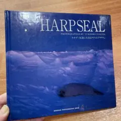 2026年最新】yukihiro 写真集の人気アイテム - メルカリ