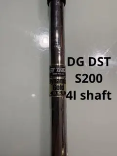 2026年最新】dst S200の人気アイテム - メルカリ