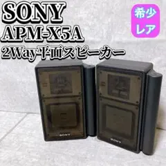 2026年最新】Sony apmの人気アイテム - メルカリ
