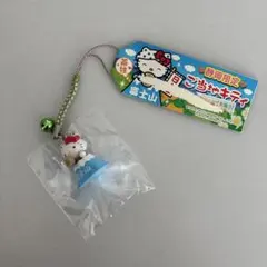 2026年最新】富士山キティの人気アイテム - メルカリ