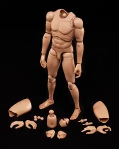 2026年最新】1/6フィギュア素体の人気アイテム - メルカリ