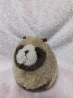 2026年最新】ばんばぱえりあの人気アイテム - メルカリ