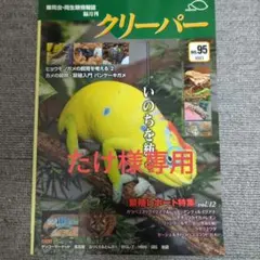 2026年最新】クリーパー 爬虫類の人気アイテム - メルカリ