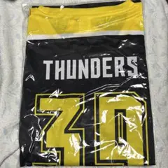 2026年最新】群馬クレインサンダーズ タオルの人気アイテム - メルカリ