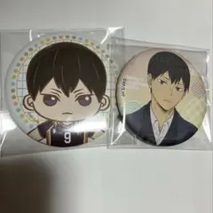 2026年最新】ハイキュー!! 和紙風トレーディング缶バッジの人気