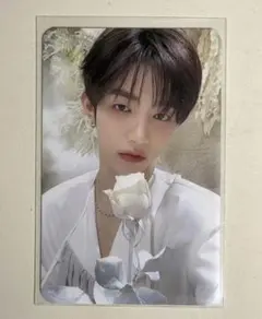 2026年最新】のヨントン当選者限定のトレカです。の人気アイテム