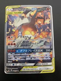 2026年最新】レシラム&リザードンgx sa psa10の人気アイテム - メルカリ