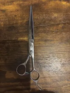 2026年最新】ミズタニシザー 5.5の人気アイテム - メルカリ