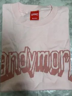 2026年最新】andymori tシャツの人気アイテム - メルカリ