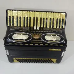 2026年最新】excelsior 400 アコーディオンの人気アイテム - メルカリ