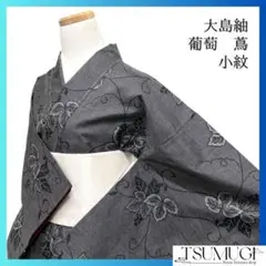 2026年最新】葡萄 着物の人気アイテム - メルカリ