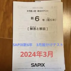 2026年最新】サピックス 新6年組分けテストの人気アイテム - メルカリ
