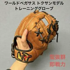 2026年最新】ワールドペガサス トレーニンググラブの人気アイテム