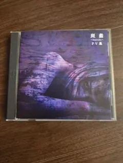 2026年最新】ガゼット 斑蠡の人気アイテム - メルカリ