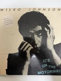 2026年最新】wilko johnsonの人気アイテム - メルカリ