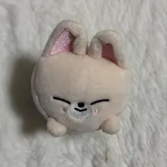 2026年最新】ミニバッグチャーム skzooの人気アイテム - メルカリ