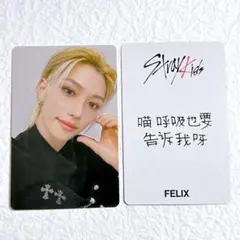 2026年最新】yzy straykidsの人気アイテム - メルカリ