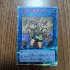 2026年最新】崔嵬の地霊使いアウス 20thの人気アイテム - メルカリ