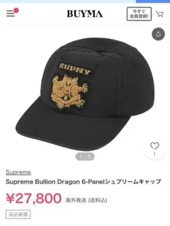 2026年最新】bullion dragon 6-panelの人気アイテム - メルカリ