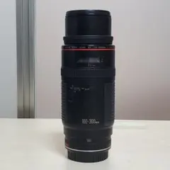 2026年最新】EF 100-300mm F5.6 Lの人気アイテム - メルカリ