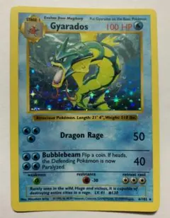 2026年最新】ギャラドス英語の人気アイテム - メルカリ