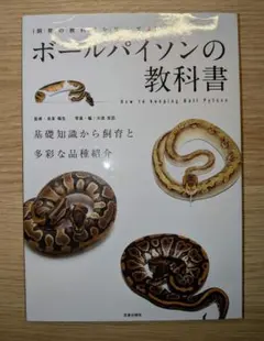 2026年最新】ボールパイソン 本の人気アイテム - メルカリ