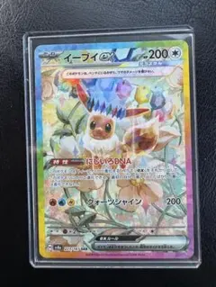 2026年最新】イーブイ ex sarの人気アイテム - メルカリ