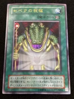 2026年最新】セベクの祝福の人気アイテム - メルカリ