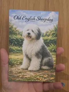 2026年最新】オールドイングリッシュシープドッグの人気アイテム