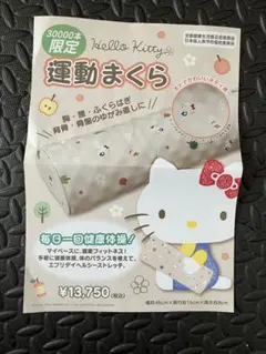 2026年最新】あおたけ枕 キティの人気アイテム - メルカリ