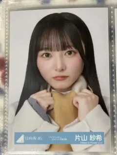 2026年最新】フォトハンガーの人気アイテム - メルカリ