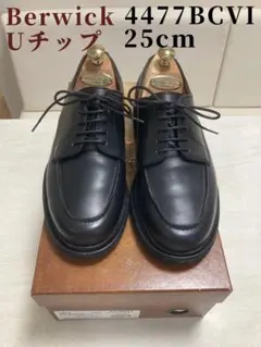 2026年最新】BERWICK バーウィック Uチップの人気アイテム - メルカリ