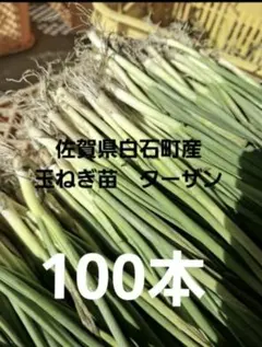 2026年最新】ターザン 苗の人気アイテム - メルカリ