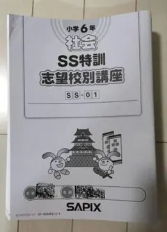 2026年最新】サピックス 社会 6年の人気アイテム - メルカリ