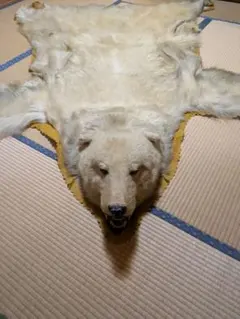 2026年最新】白熊毛皮の人気アイテム - メルカリ