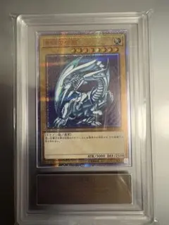 2026年最新】青眼の白龍 wcs2018の人気アイテム - メルカリ