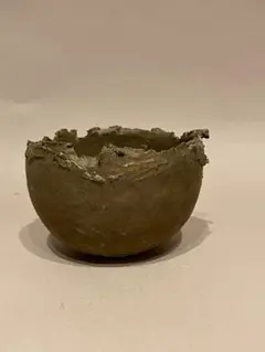 2026年最新】たけろうポット 鉢の人気アイテム - メルカリ