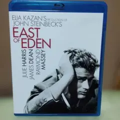 2026年最新】イースト・オブ・エデンの人気アイテム - メルカリ