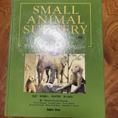 2026年最新】スモールアニマル・サージェリーの人気アイテム - メルカリ