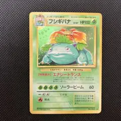 m56460054704_1.jpg?1768477764