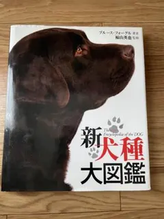 2026年最新】犬種大図鑑の人気アイテム - メルカリ