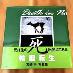 2026年最新】宮崎学 死の人気アイテム - メルカリ