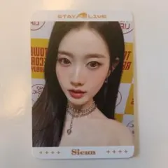 2026年最新】シウンの人気アイテム - メルカリ