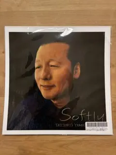 2026年最新】softly 山下達郎の人気アイテム - メルカリ