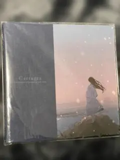 2026年最新】innocent GREY 図録の人気アイテム - メルカリ