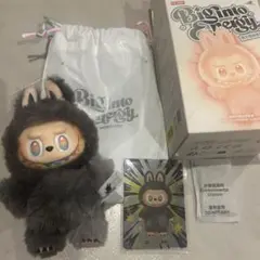 2026年最新】Labubu ぬいぐるみ シークレットの人気アイテム - メルカリ